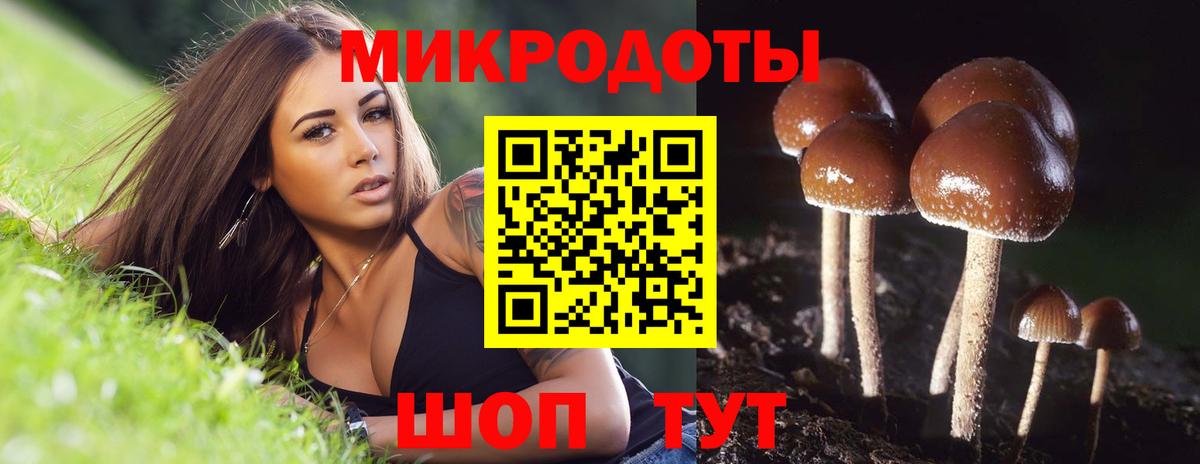Галлюциногенные грибы прущие грибы Каменск-Уральский