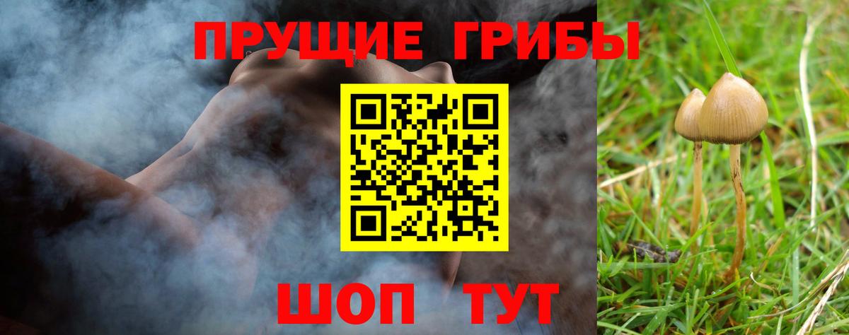Галлюциногенные грибы Magic Shrooms  Вход с VPN  Каменск-Уральский 